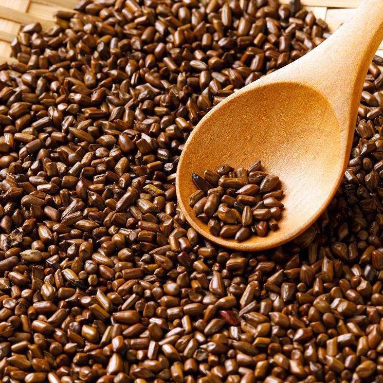 Cassia Seed Extract All Ingredients Plus