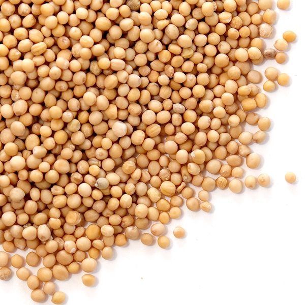 Mustard Seed Extract All Ingredients Plus