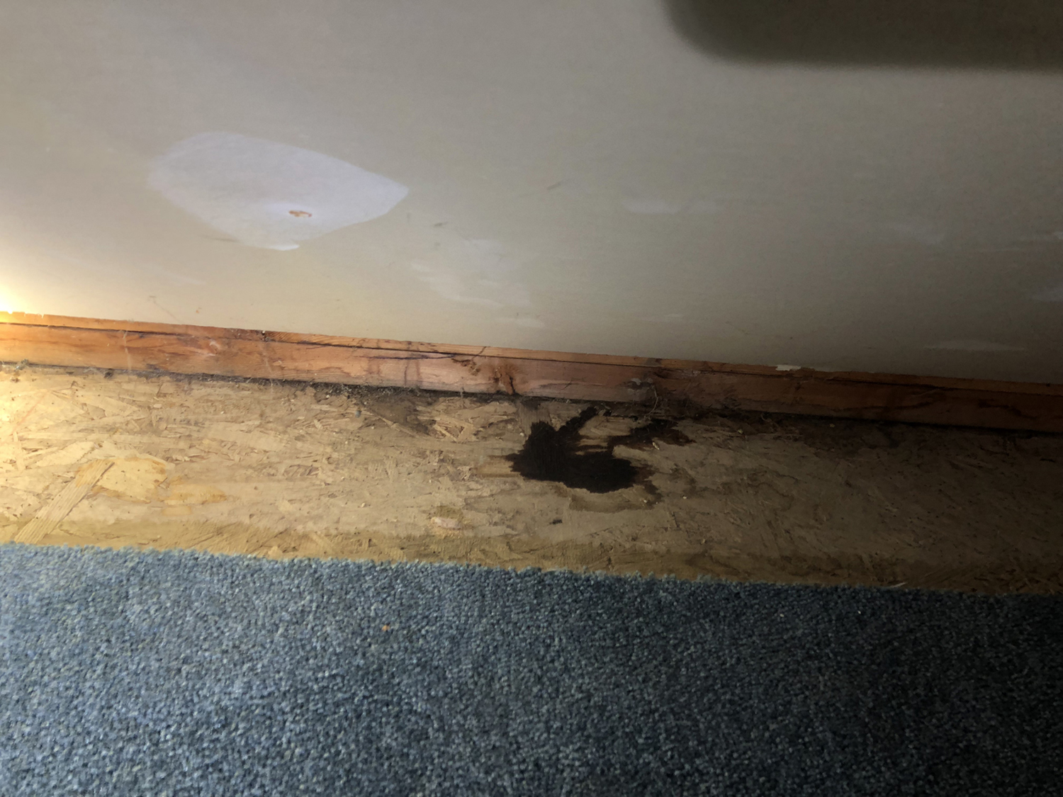 water damage All Islands Home Inspections