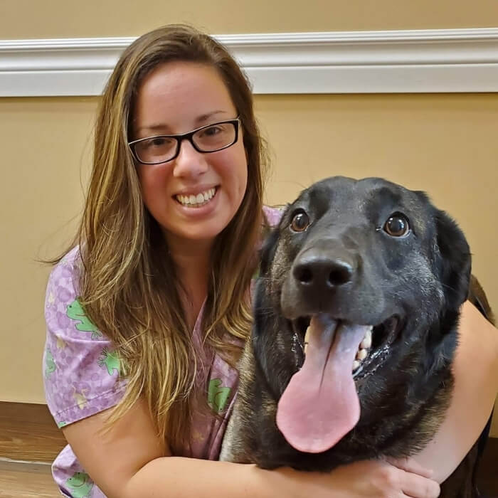 Veterinarian in Alliston, ON L9R 1H6 Alliston Veterinary Services