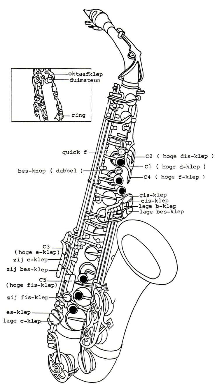 Alto Saxophone Keys And Fingering Chart - Plus Video Tutorial