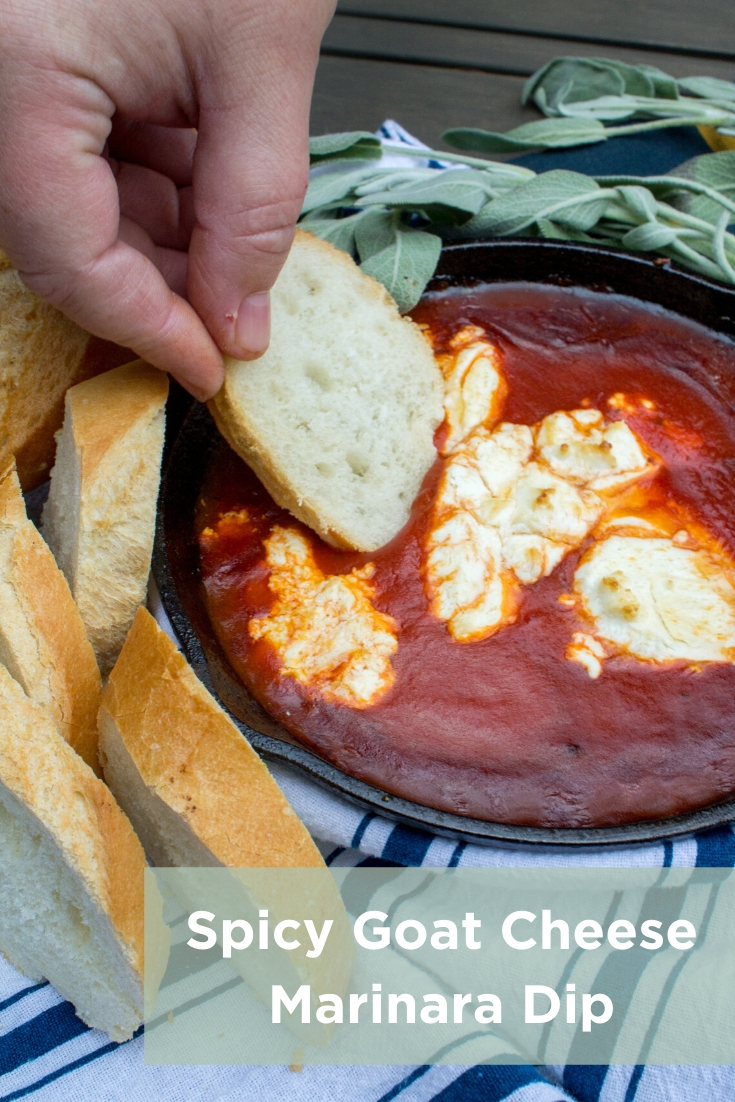 Spicy Goat Cheese Marinara Dip All My Good Things