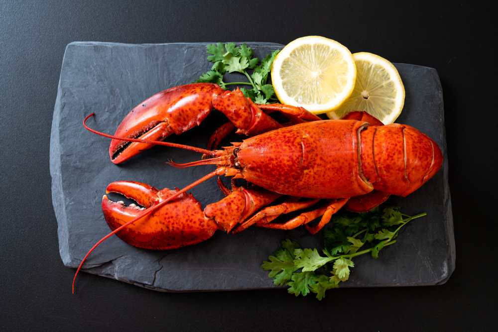 What Does Lobster Taste Like? (2023) All My Recipe