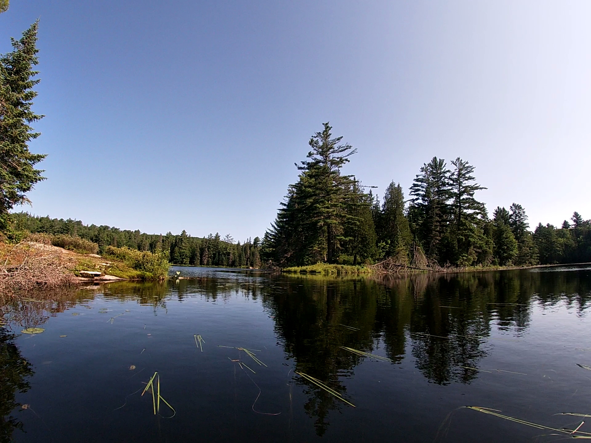 Tom Thomson Lake All of Algonquin