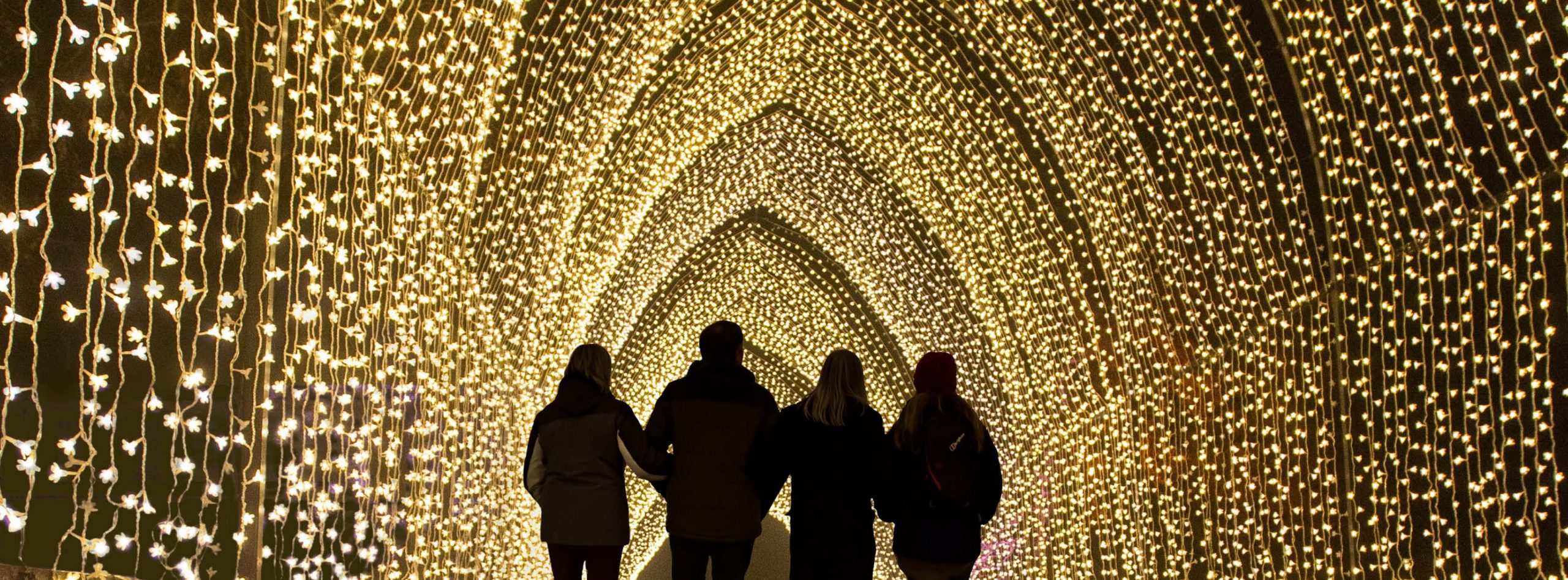 Lightscape comes to the San Antonio Botanical Gardens — All of San Antonio