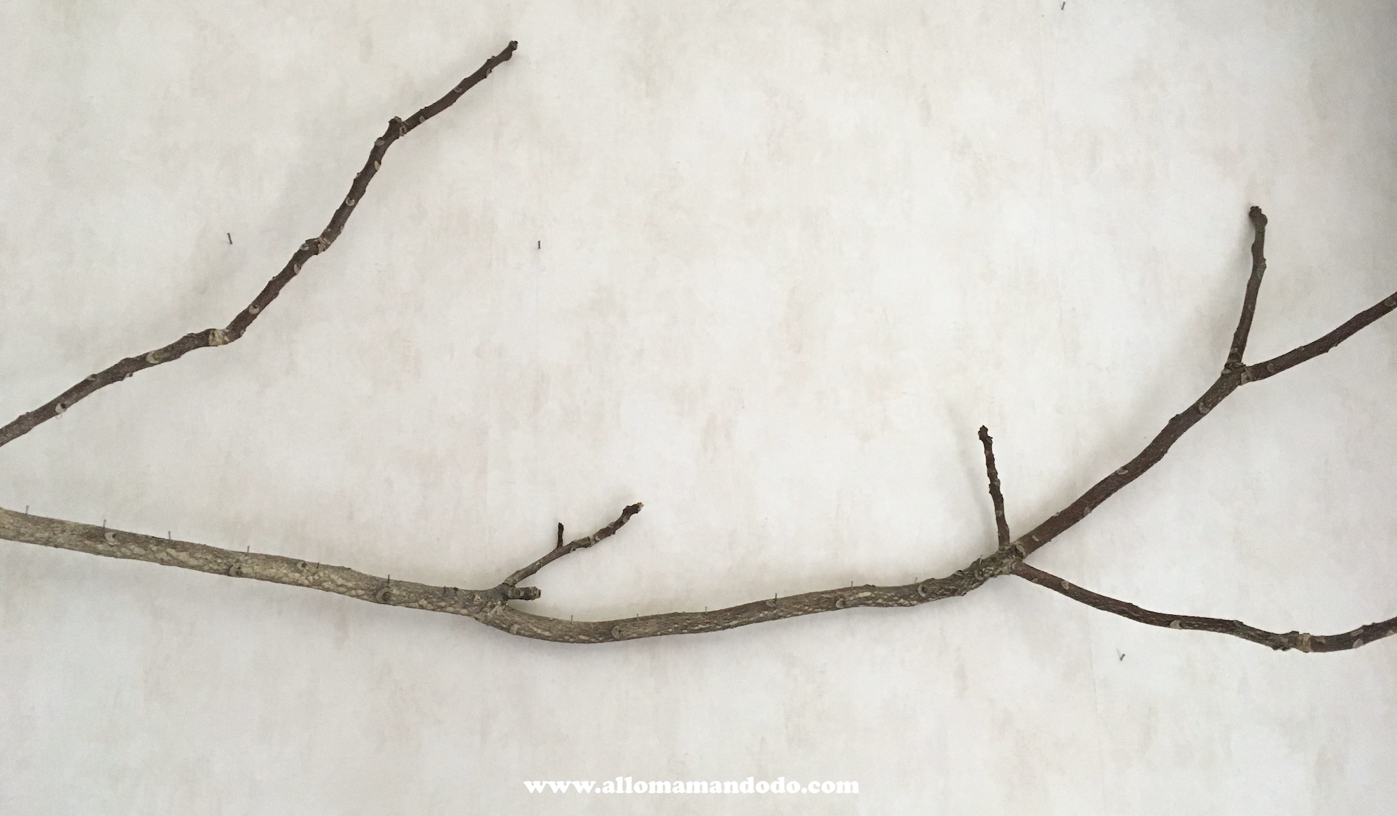 Support Bijoux Mural 2 Porte-bijoux Acrylique Avec 12 Crochets - Range Colliers Et Bracelets - Design Transparent Rangement Bijoux Organisé