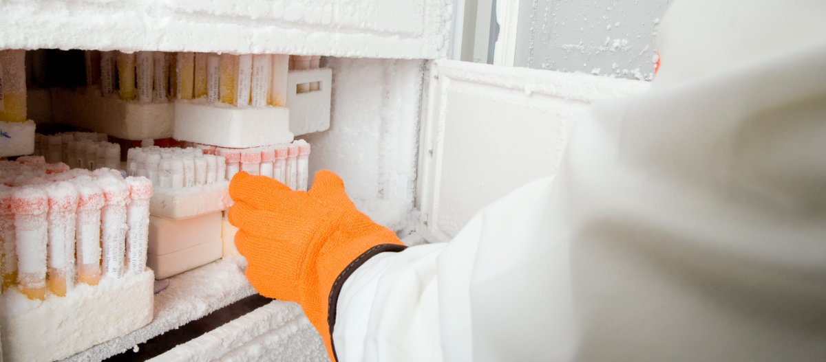 Lab Freezer Calibration Allometrics