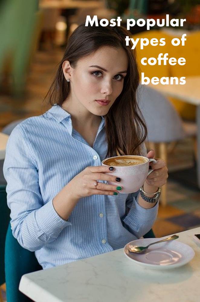 Most popular types of coffee beans AllOntario
