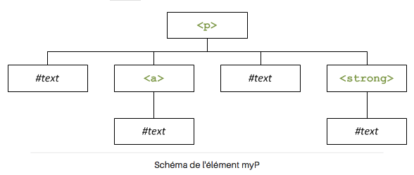 Javascript le DOM Sciences numériques