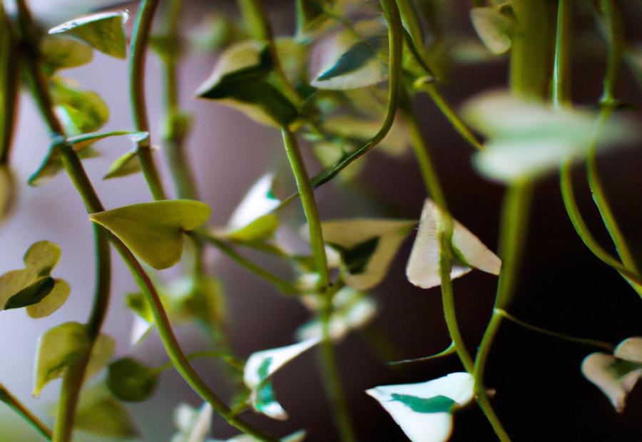 Common Problems and Troubleshooting - How to Propagate a String of Hearts