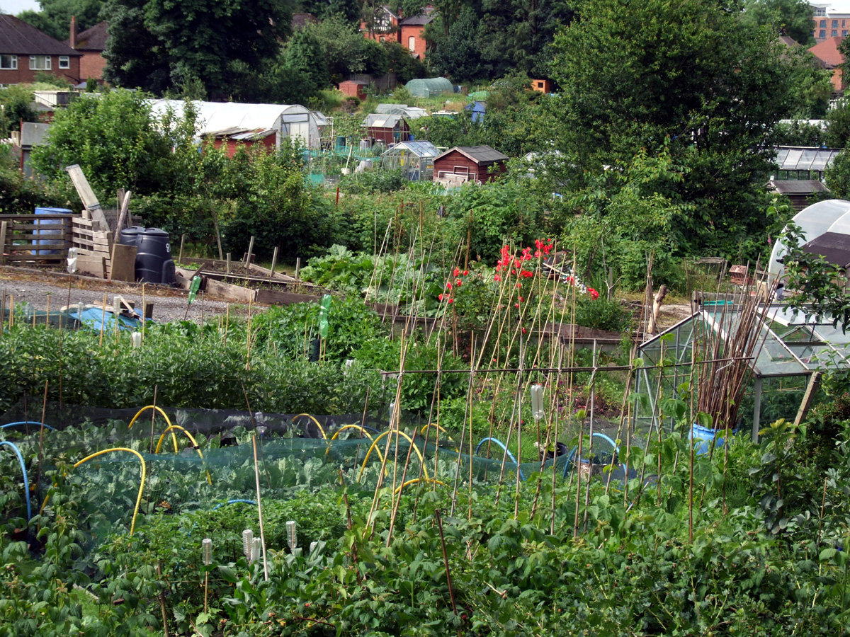 Allotment Meaning
