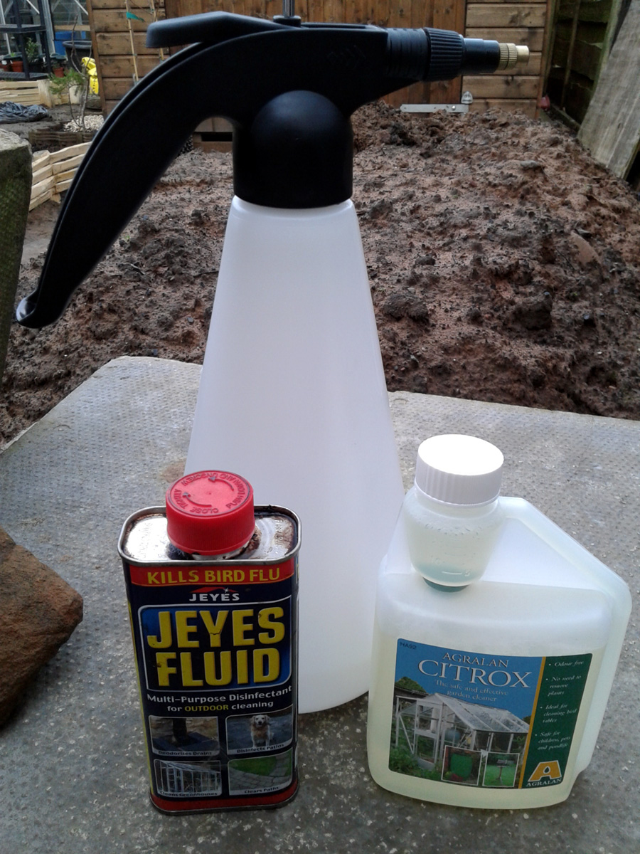 SpringCleaning Our Main Greenhouse Notes from the Allotment