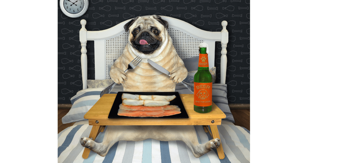 What Can Pugs Eat? The Dos and Don'ts of Feeding My Pug All Our Creatures