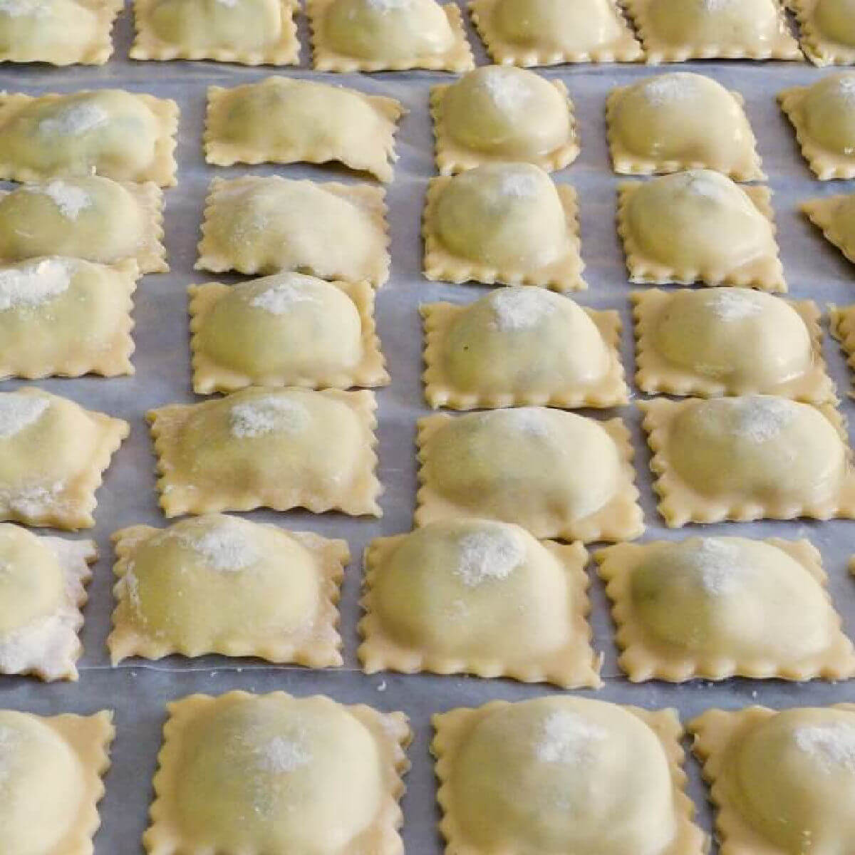 Rustic Italian Spinach Ricotta Beef Ravioli Filling