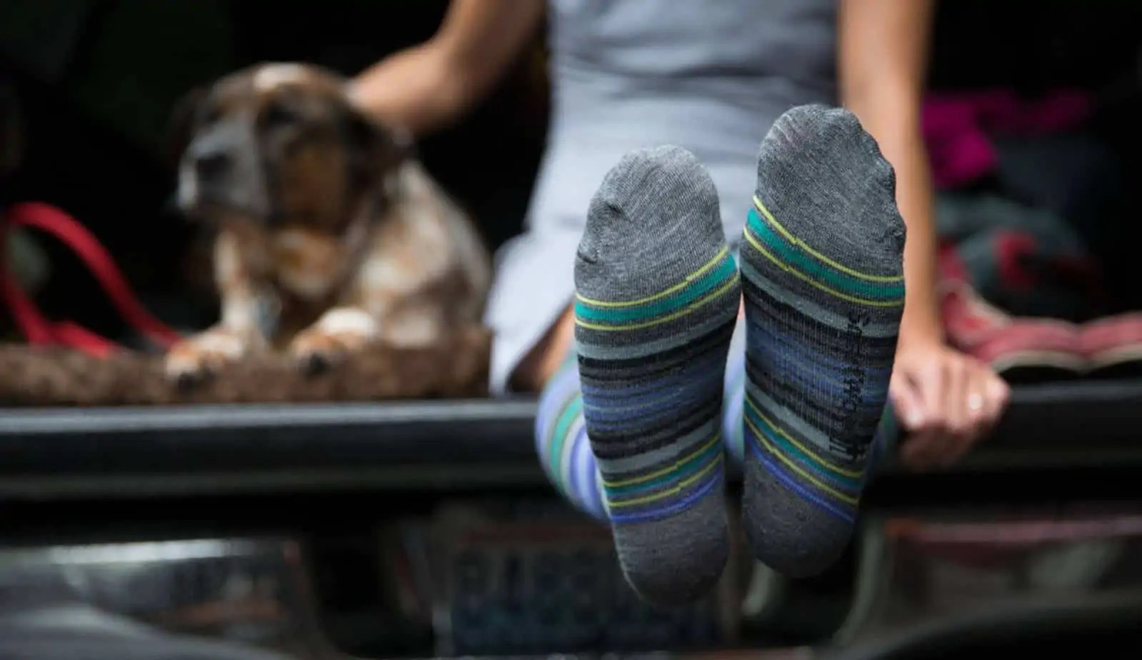 Darn Tough vs Smartwool The Superior Sock? All Outdoors Guide