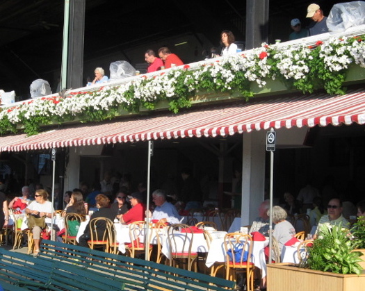 Saratoga Chips All Over Albany