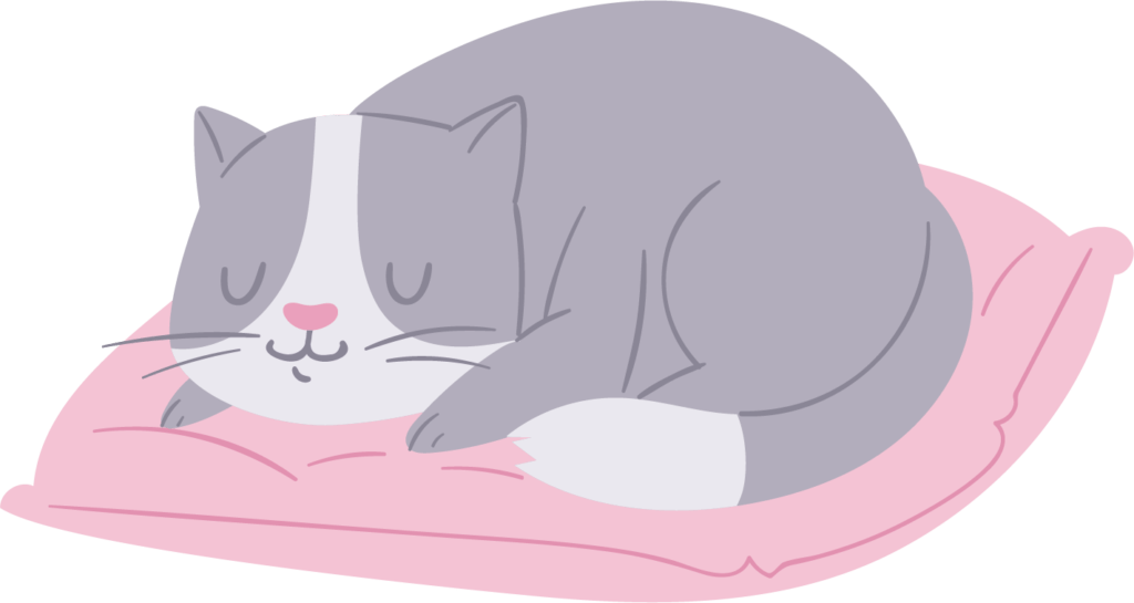 Doggy Daycare in Belleville, IL All Paws Inn Pet Resort and Daycare