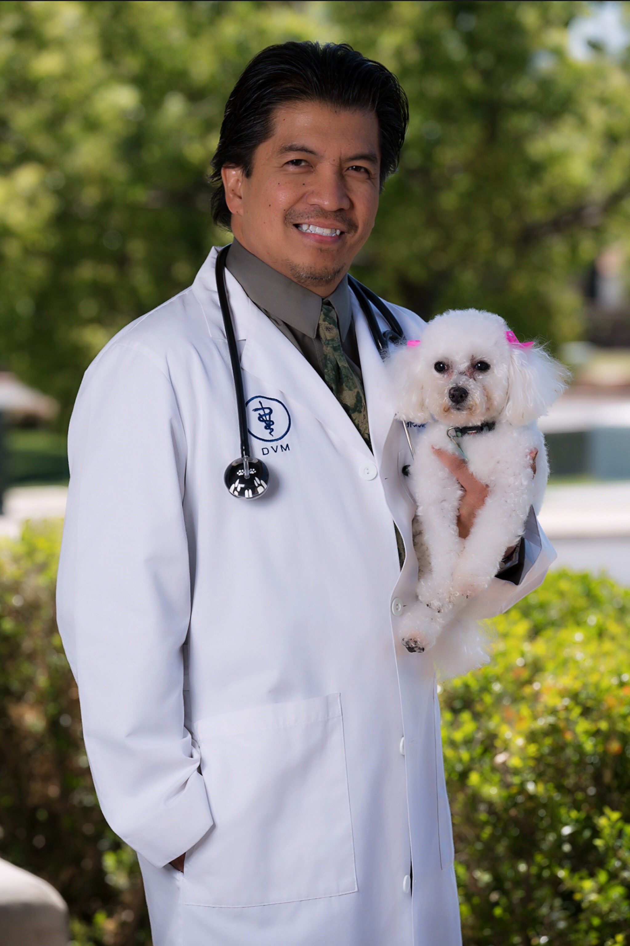 Our Team All Paws Riverside Animal Hospital