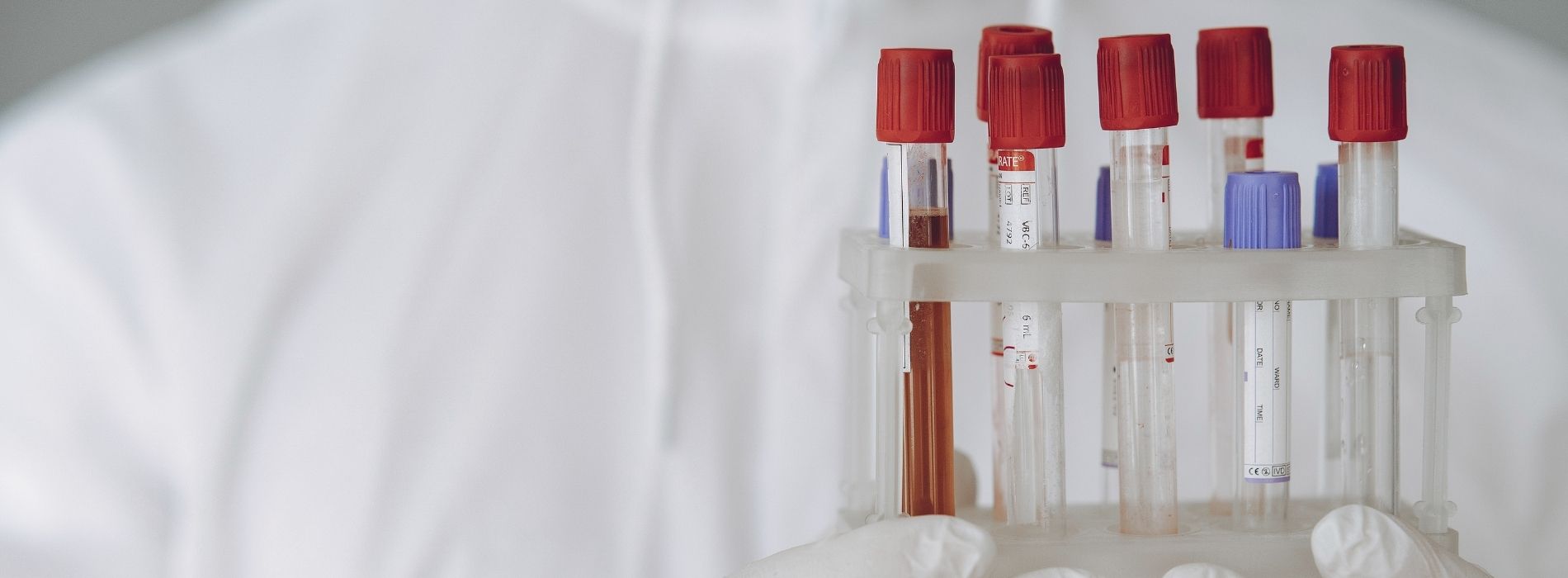 Veterinary Laboratory Algonquin, IL 60102 All Paws Veterinary Clinic