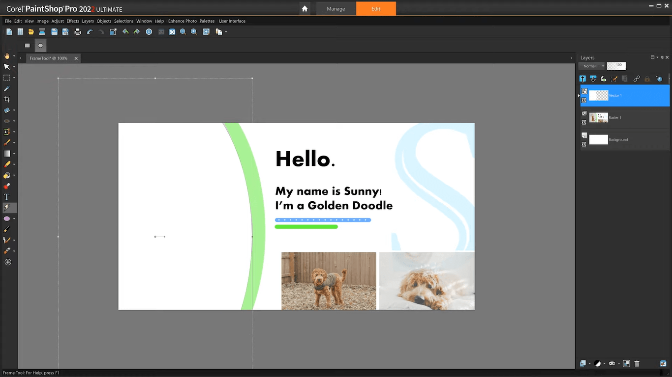 Corel Pro 2022 Ultimate Free Download ALLPCWorld