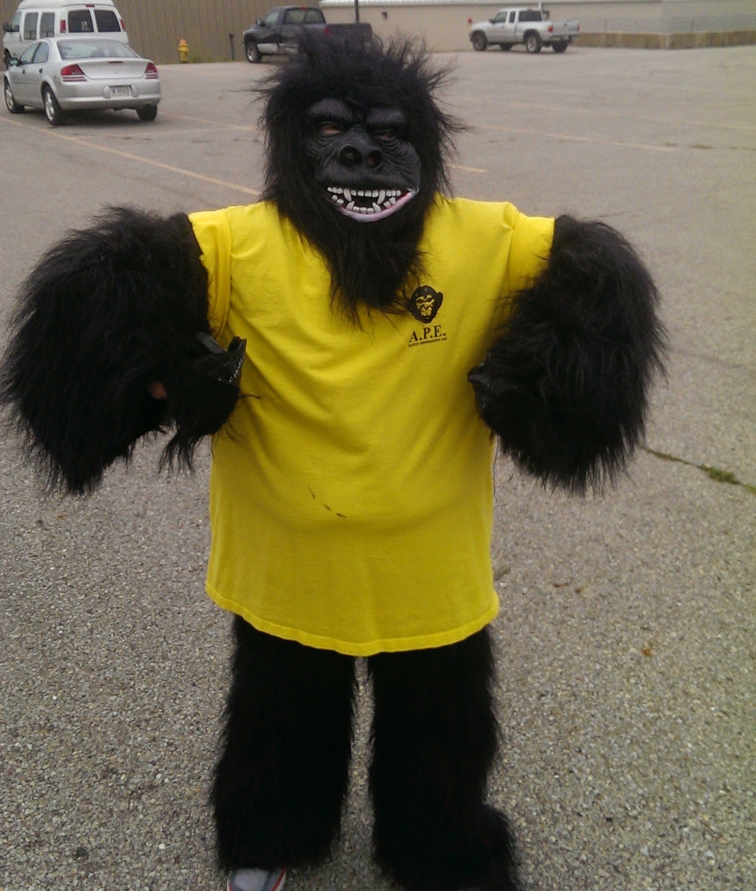 Richmond Indiana Pest Control AllPest Exterminating