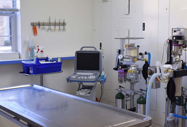 Hospital Tour All Pets Animal Hospital Peoria, AZ