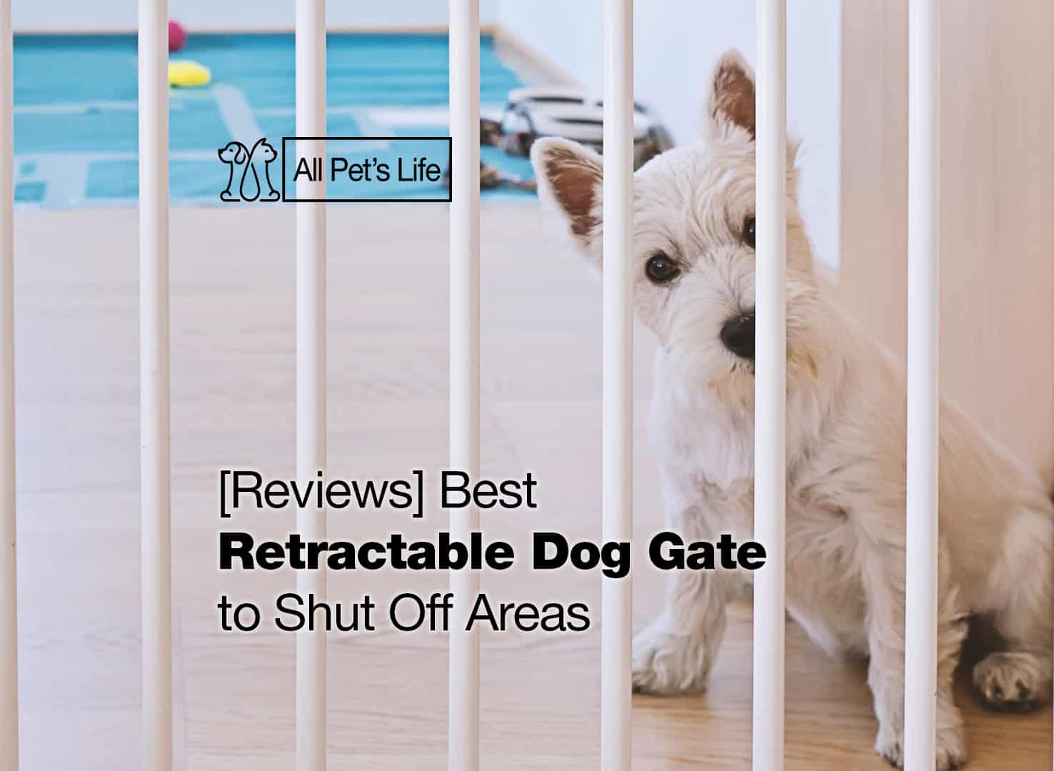 12 Best Retractable Dog Gate to Shut Off Areas [2023] All Pet's Life