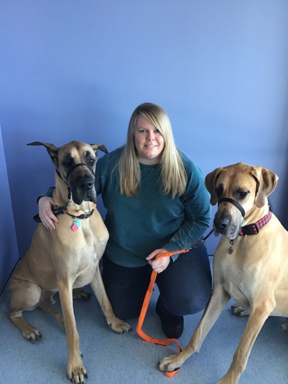 Contact Our Middleton, WI Veterinarians at All Pets Veterinary Clinic