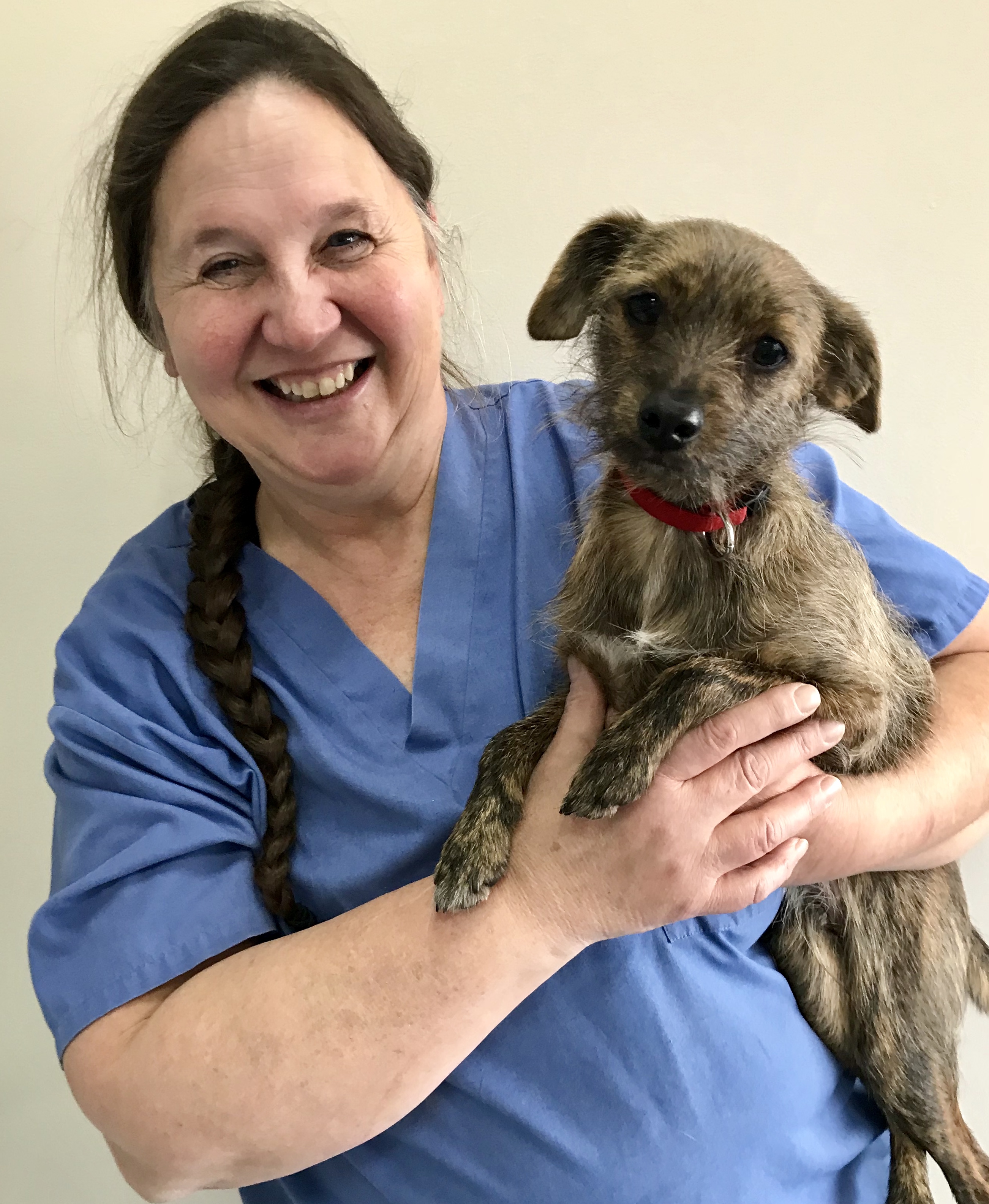 Contact Our Middleton, WI Veterinarians at All Pets Veterinary Clinic