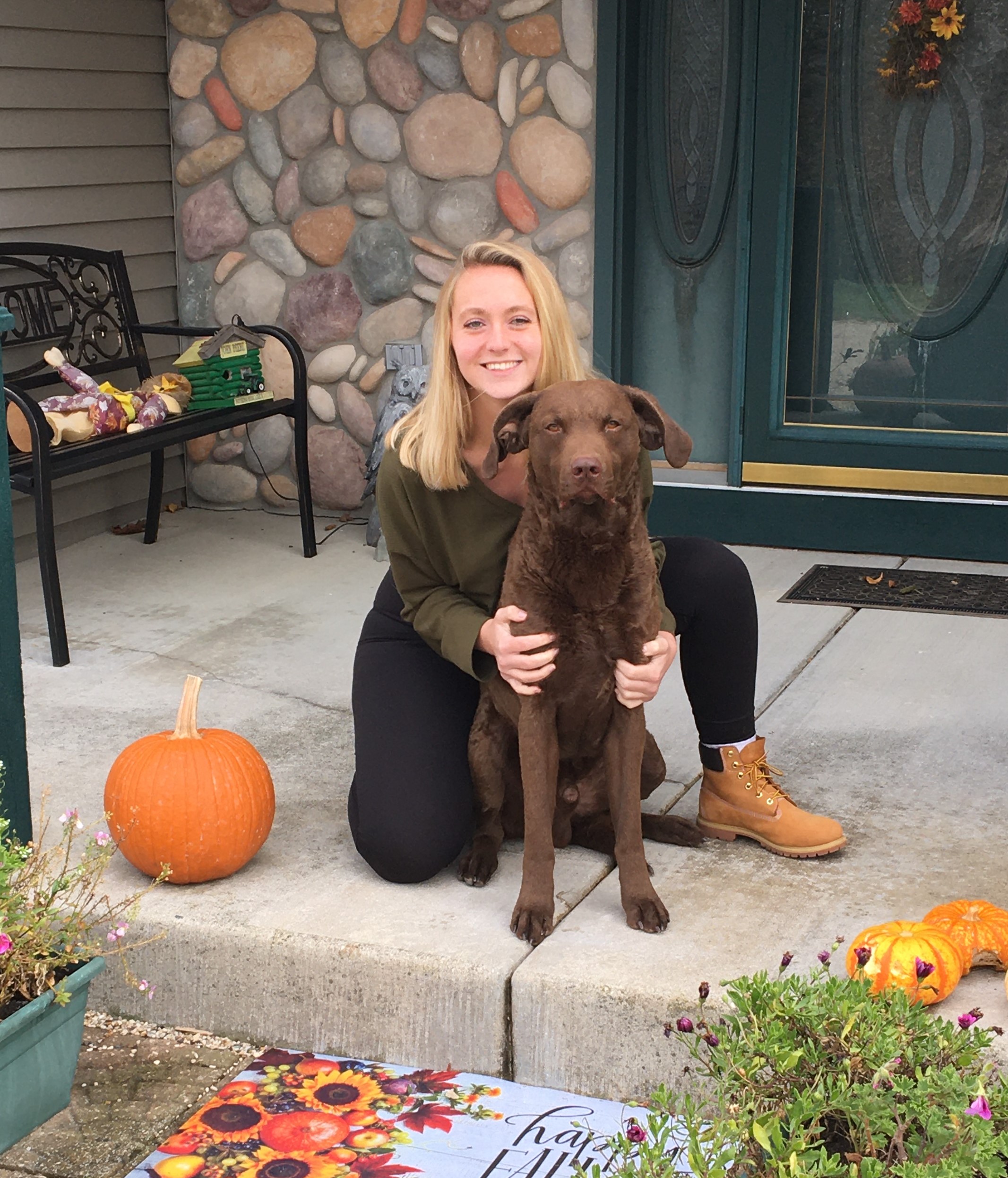 Contact Our Middleton, WI Veterinarians at All Pets Veterinary Clinic