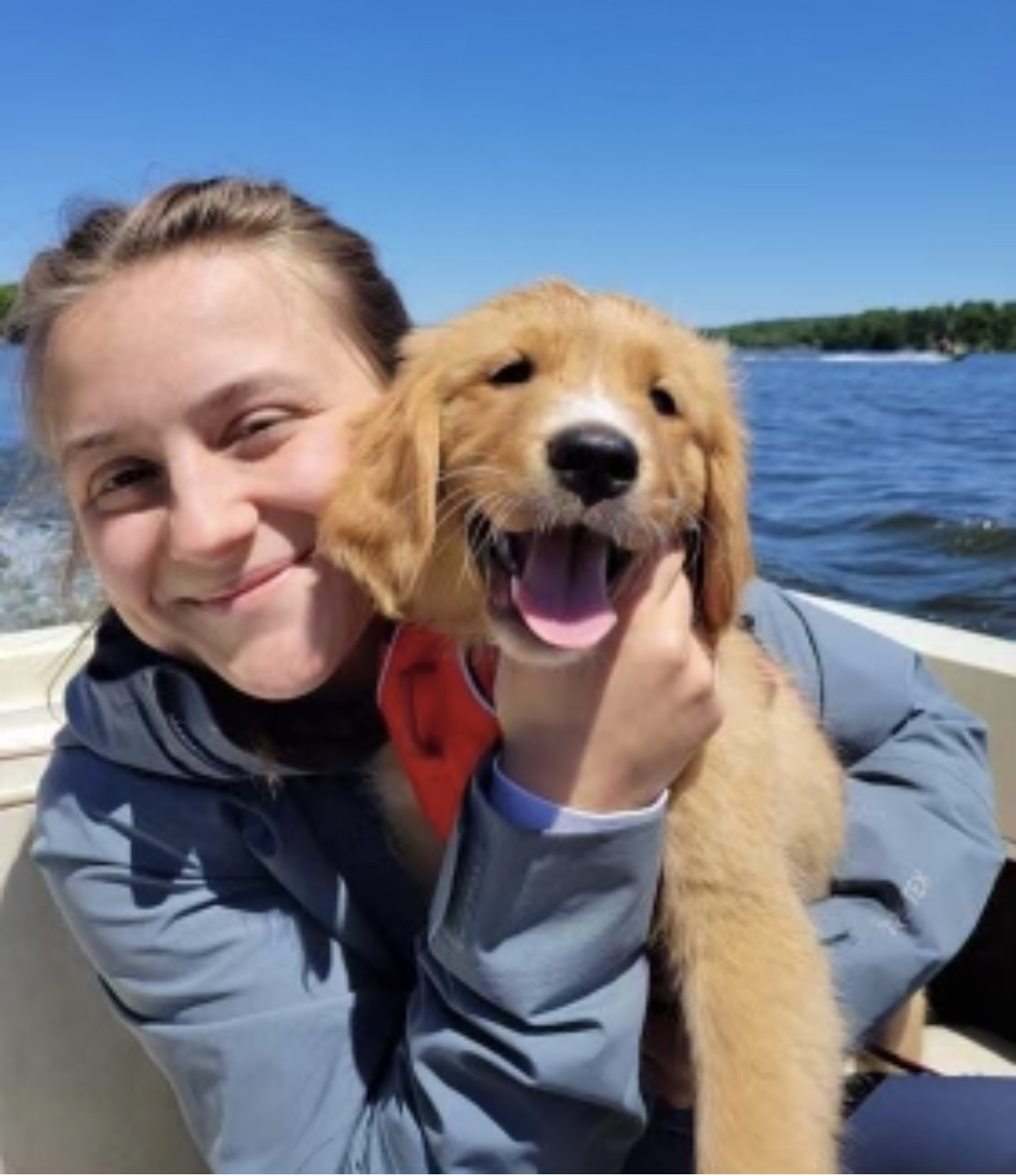 Contact Our Middleton, WI Veterinarians at All Pets Veterinary Clinic