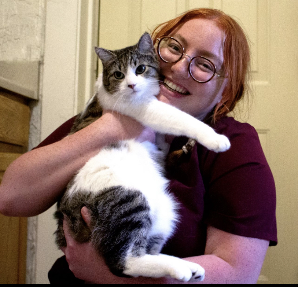 Contact Our Middleton, WI Veterinarians at All Pets Veterinary Clinic