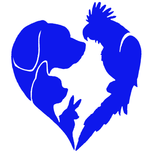 FREQUENTLY ASKED QUESTIONS All Pets Veterinary Hospital