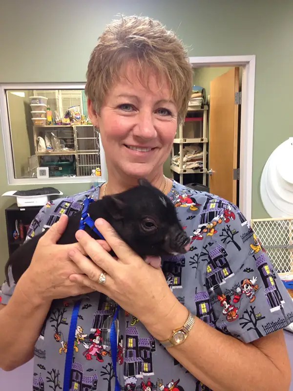 Photo Gallery All Pets Veterinary Center