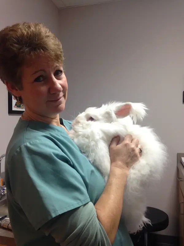 Photo Gallery All Pets Veterinary Center