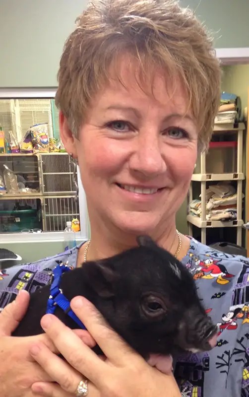 Photo Gallery All Pets Veterinary Center