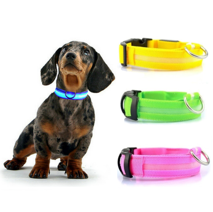 Dog Collars All Pet Things