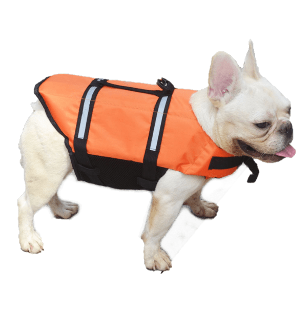 Dog Life Jacket Vest Have Fun in the Water and Stay Safe! All Pet