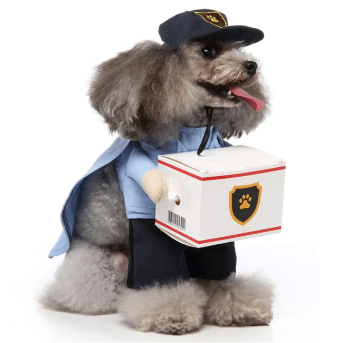 Mailman Pet Dog Halloween Costume with Package All Pet Things