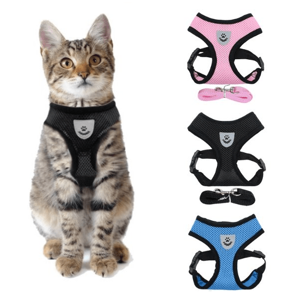 Mesh Padded Cat Harness with Free Leash All Pet Things