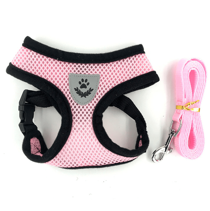 Mesh Padded Dog Harness with Free Leash All Pet Things