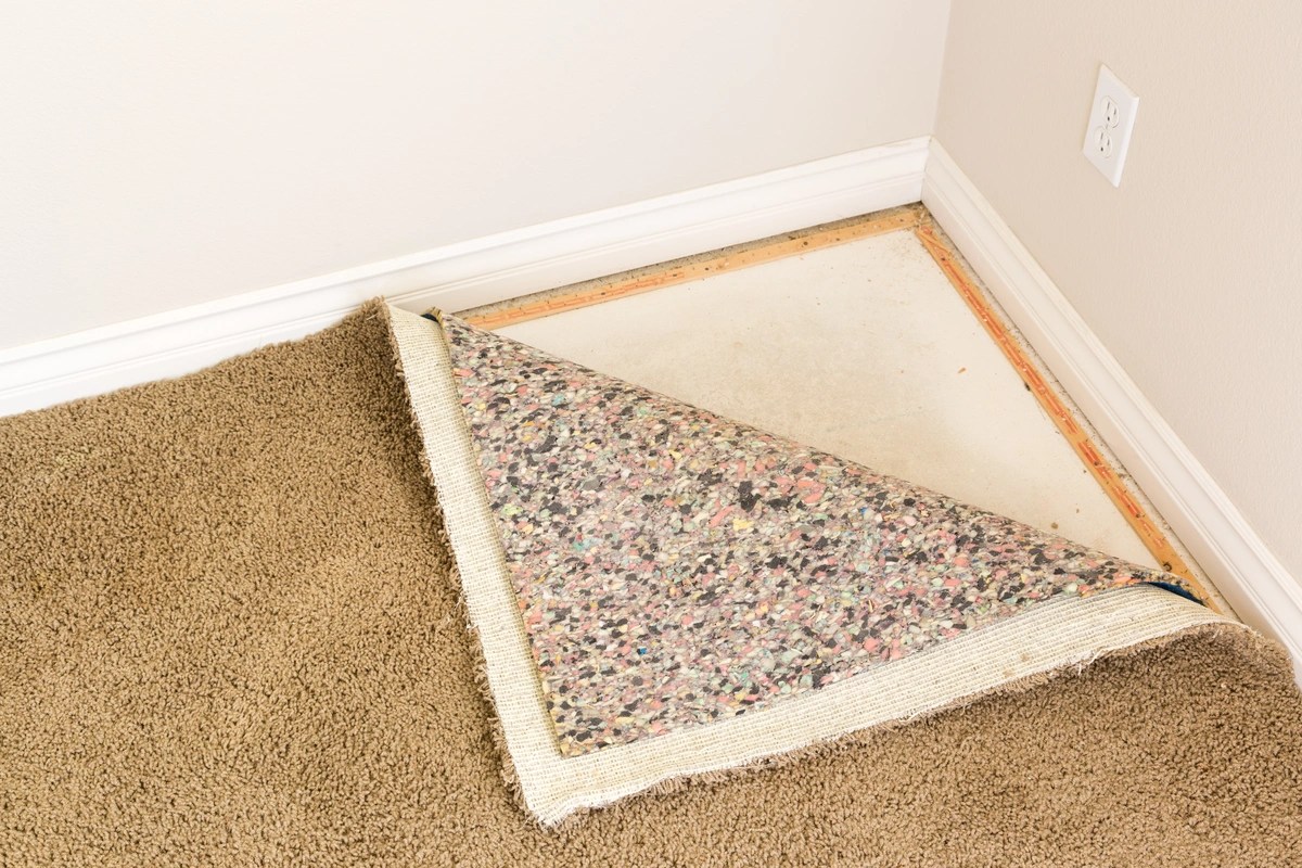 Mold Under Carpet? Signs, Prevention, & Removal