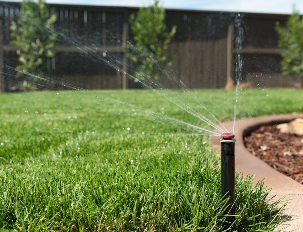 The Importance of an Irrigation System All Phaze Irrigation Services