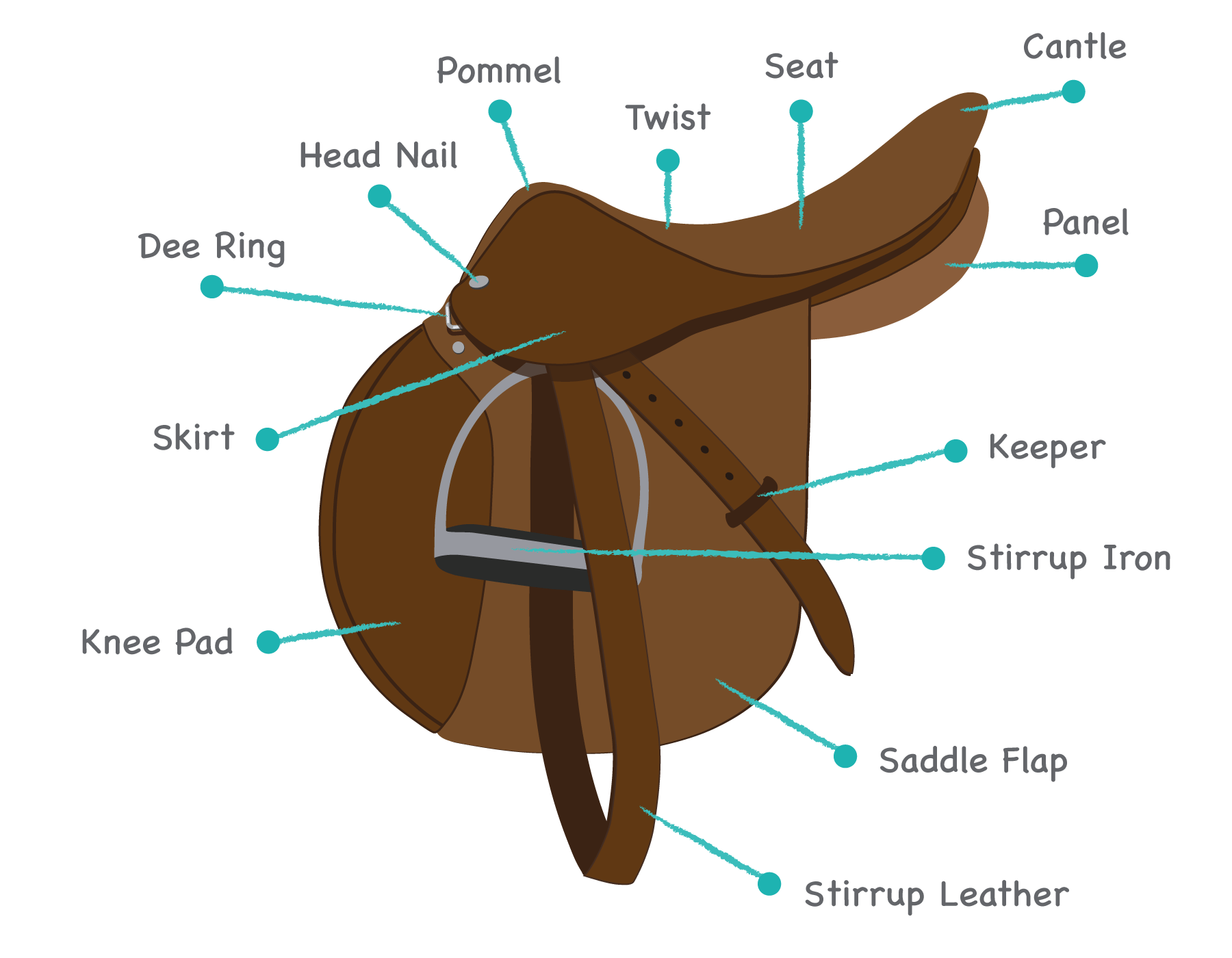 Identify Horse Saddle Types Play the Name the Saddle Parts Game