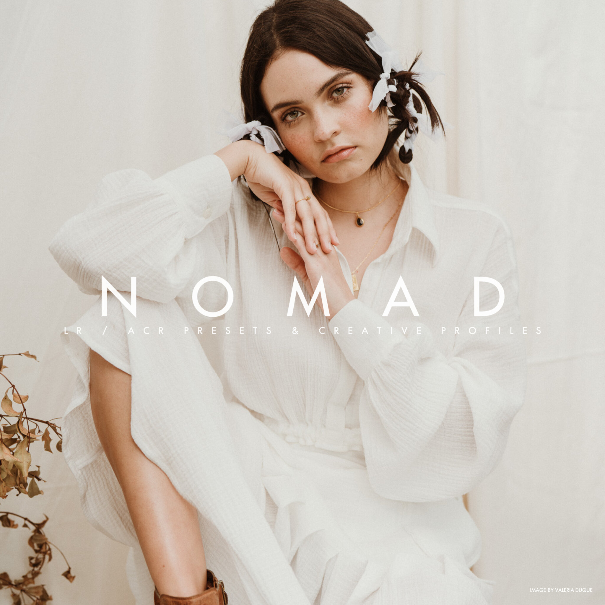 Archipelago NOMAD LR/ACR PRESETS + PROFILES ALLPreset