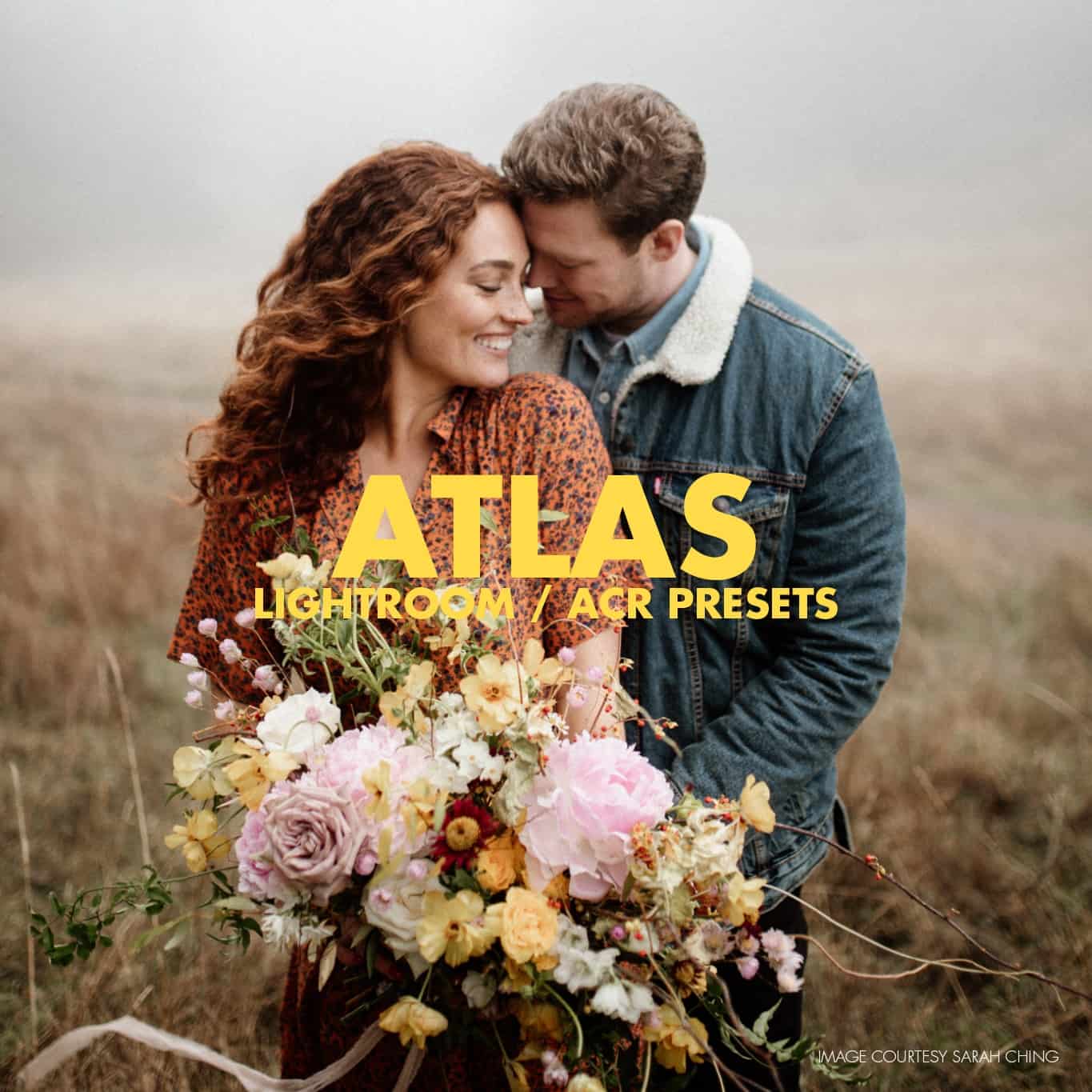 Tribe Archipelago Atlas Presets presets download free for Lightroom