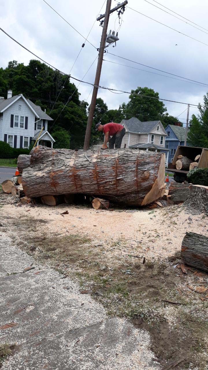 Firewood Sales, Buy Firewood Binghamton, NY All Pro Able Tree