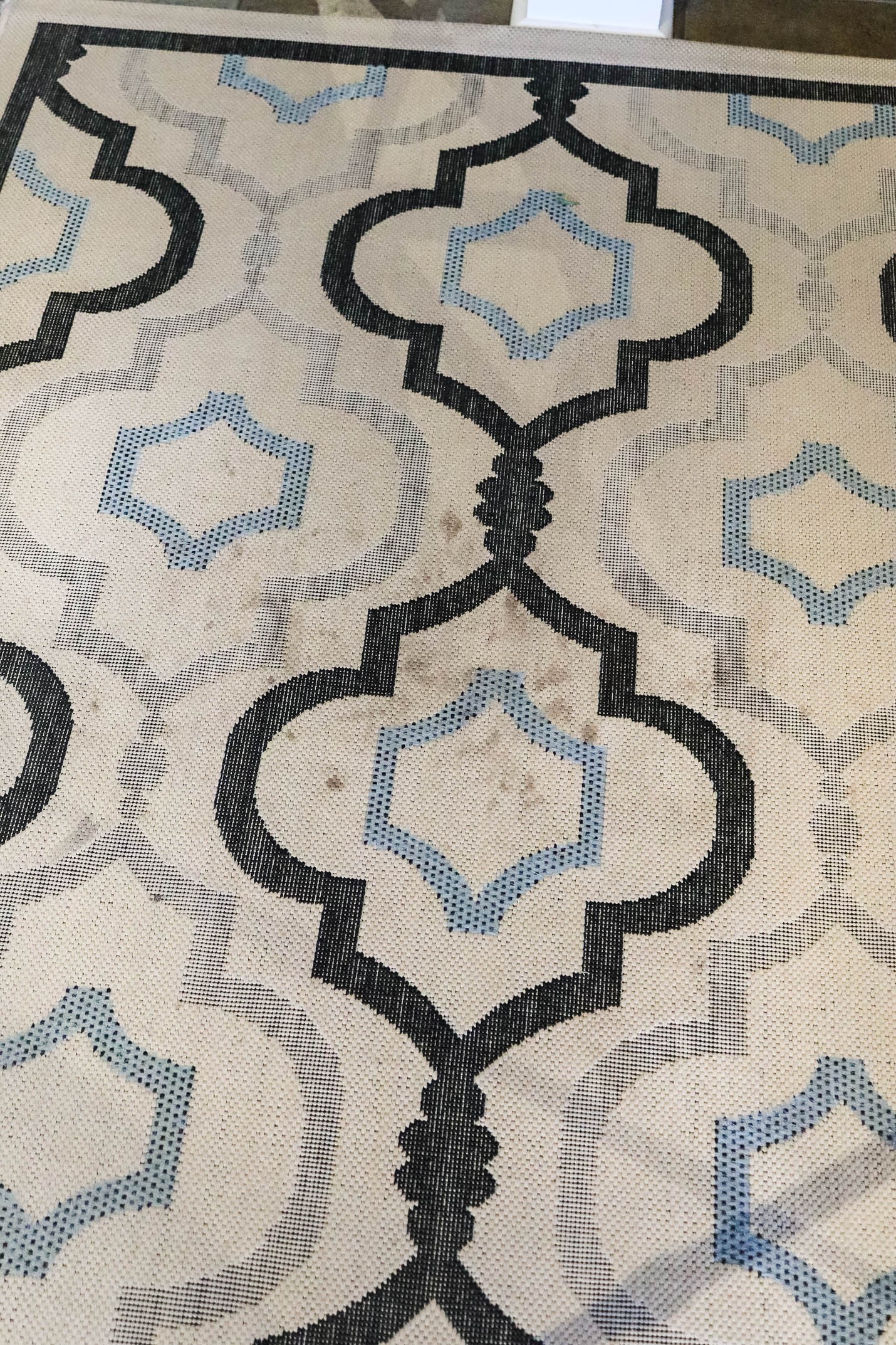 How to Clean Indoor/Outdoor Rug All Projects Great & Small