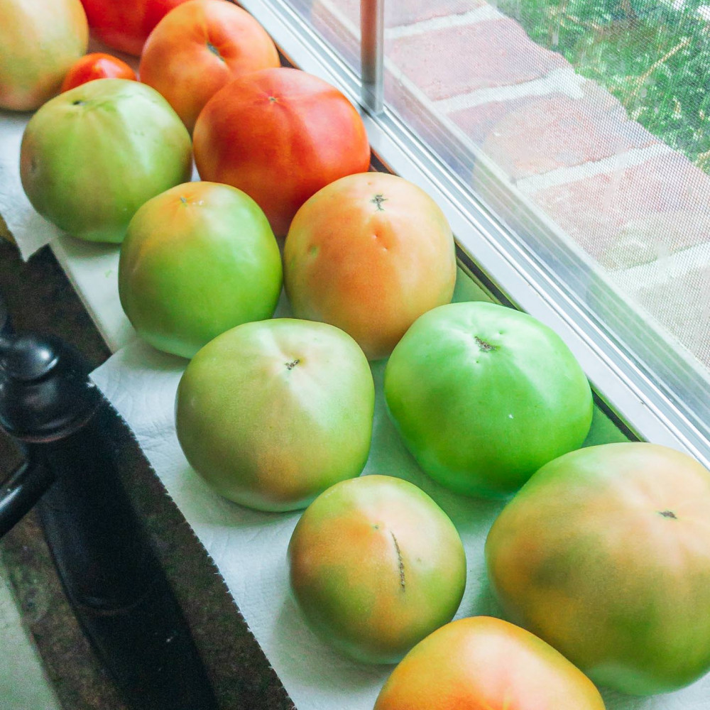 How to Whitewash with Lime Hydrated Lime vs Garden Lime All Projects