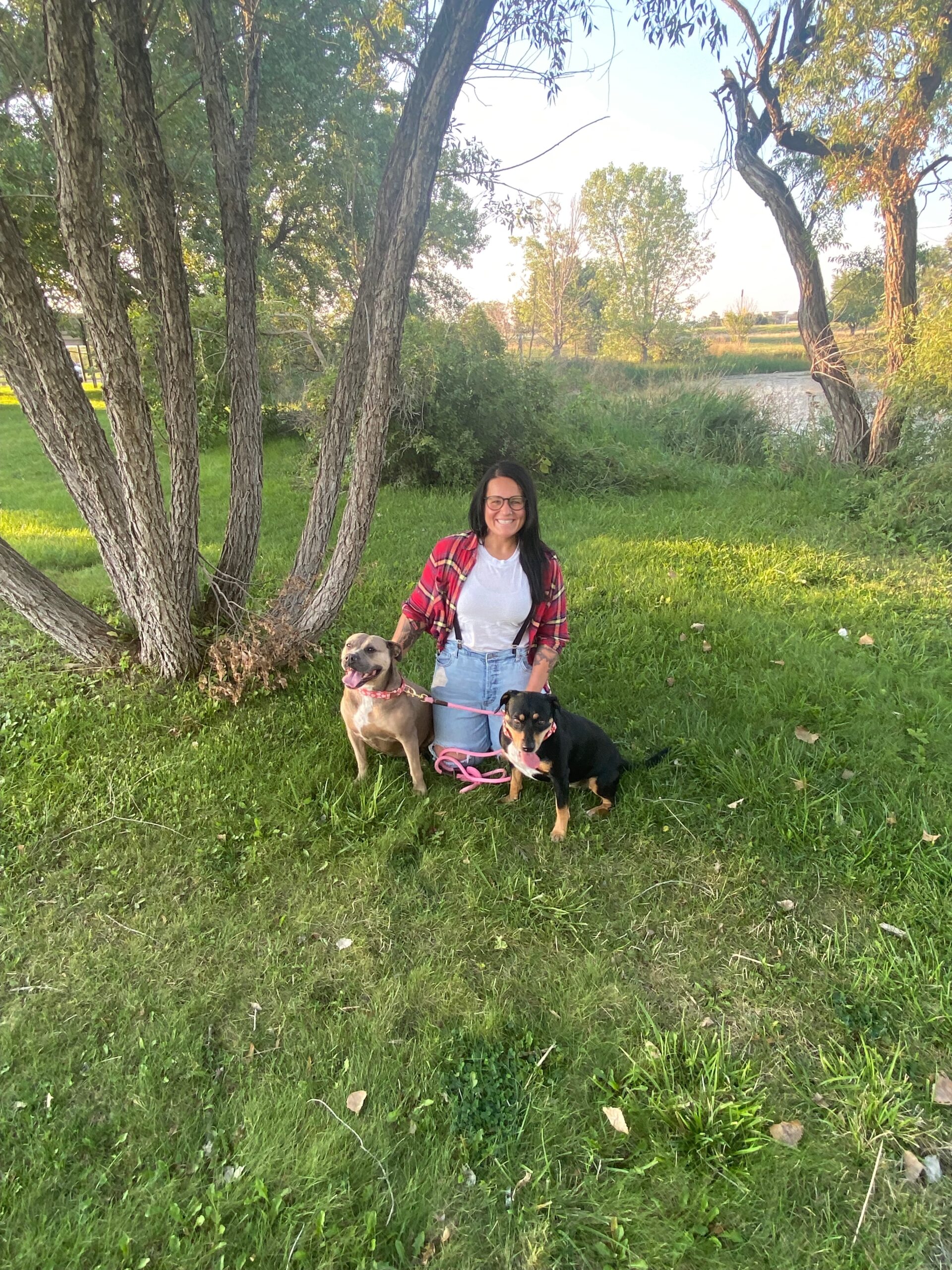 Fort Collins Dog Boarding, Daycare, & Training About K9 Corral